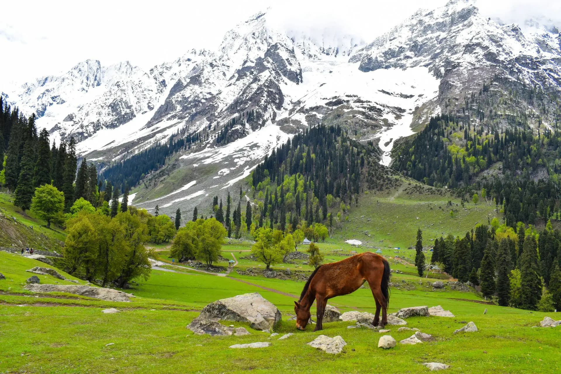 Travel Kashmir Beyond The Postcards