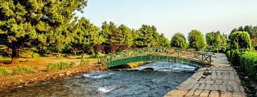 Kokernag